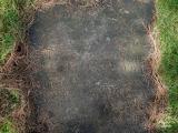 image of grave number 749568